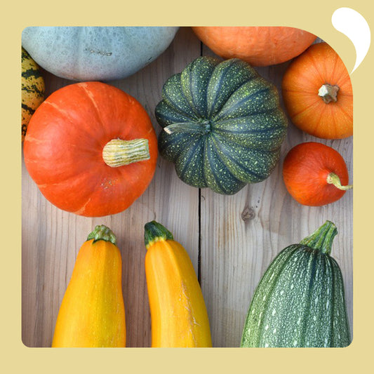 Difference Between Pumpkin and Squash